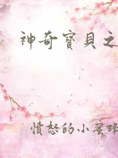 神奇宝贝之一辉