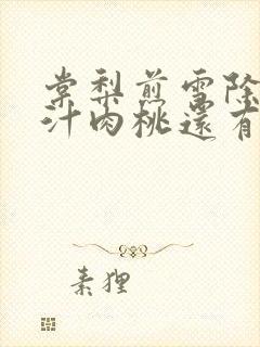 棠梨煎雪除了蜜汁肉桃还有什么肉