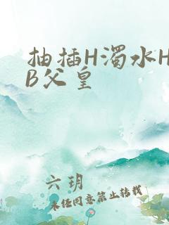 抽插H浊水H嫩B父皇
