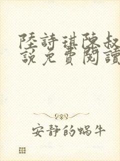 陆诗琪陈叔的小说免费阅读最新