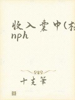 收入囊中(校园nph