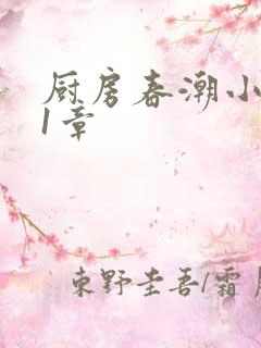 厨房春潮小说第1章