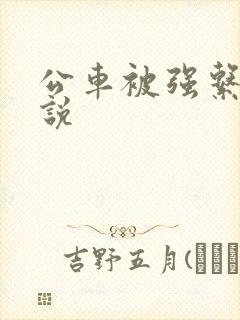 公车被强系列小说