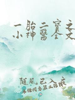 一胎二宝之弃妃小神医全文免费阅读