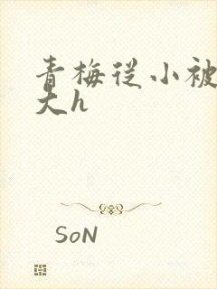 青梅从小被弄到大h