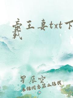 帝王妻txt下载