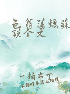 色翁荡熄苏钥小说全文