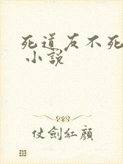死道友不死贫道 小说