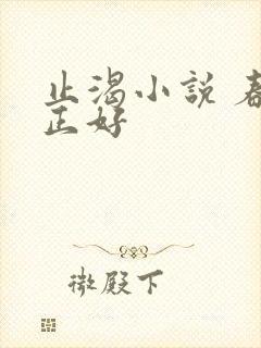 止渴小说 春光正好