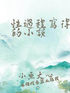 性过程写得详细的小说