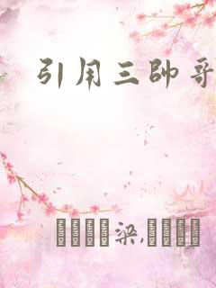 引用三帅哥