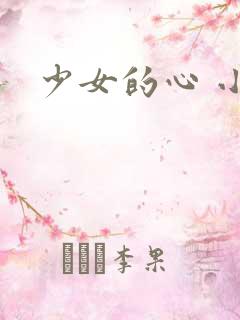 少女的心 小说
