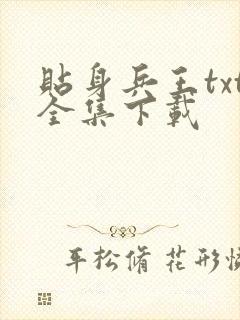 贴身兵王txt全集下载