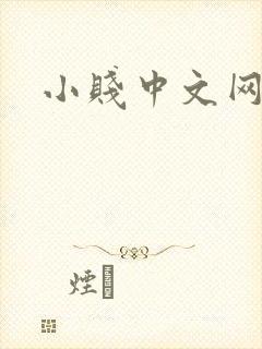 小贱中文网
