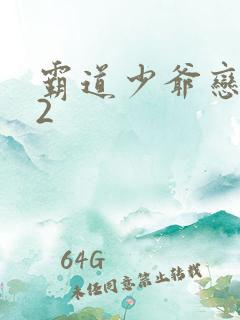 霸道少爷恋上我2