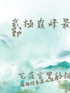 武极巅峰最新章节