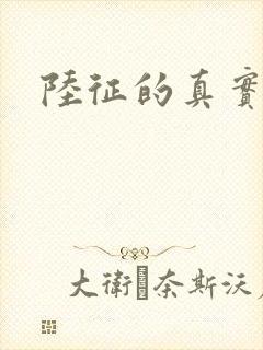 陆征的真实身份