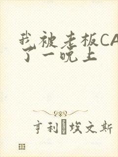 我被老板CAO了一晚上