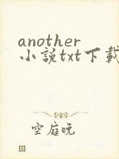 another小说txt下载