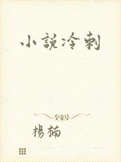小说冷刺