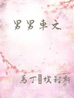 男男车文