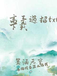 高手过招txt下载