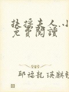 扶摇夫人.小说免费阅读