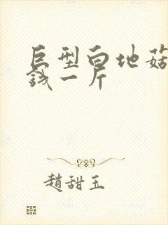 巨型白地菇多少钱一斤