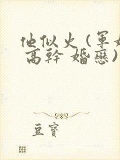 他似火 (军婚 高干 婚恋)小说免费阅读