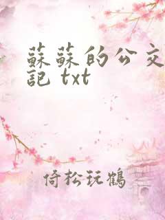 苏苏的公交车日记 txt