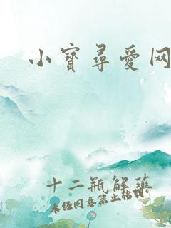 小宝寻爱网