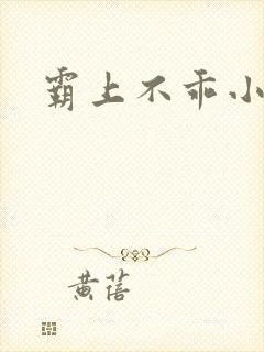 霸上不乖小逃妻