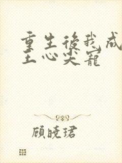 重生后我成了傻王心尖宠