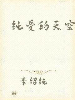 纯爱的天空