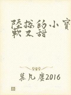 陆总的小宝贝又软又甜