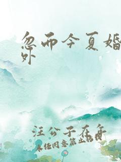 忽而今夏婚后番外