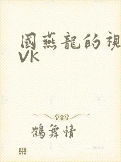 国燕龙的视频IVK