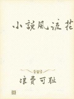 小说风流花少