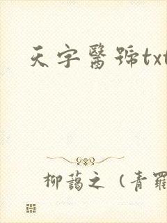 天字医号txt