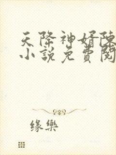 天降神婿陈黄皮小说免费阅读