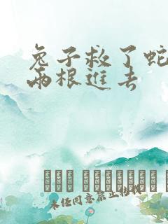 兔子救了蛇被蛇两根进去