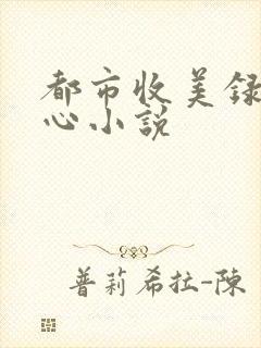 都市收美录宁素心小说