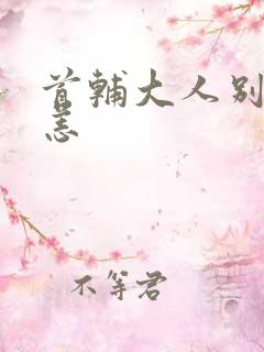 首辅大人别来无恙