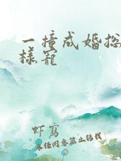一撞成婚总裁花样宠