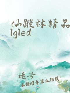 仙踪林精品zzlgled