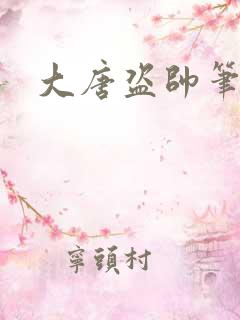 大唐盗帅笔趣阁