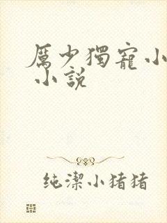 厉少独宠小娇妻 小说