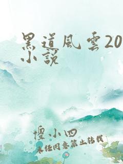 黑道风云20年小说