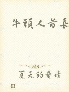 牛头人酋长战斧