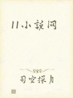 11小说网